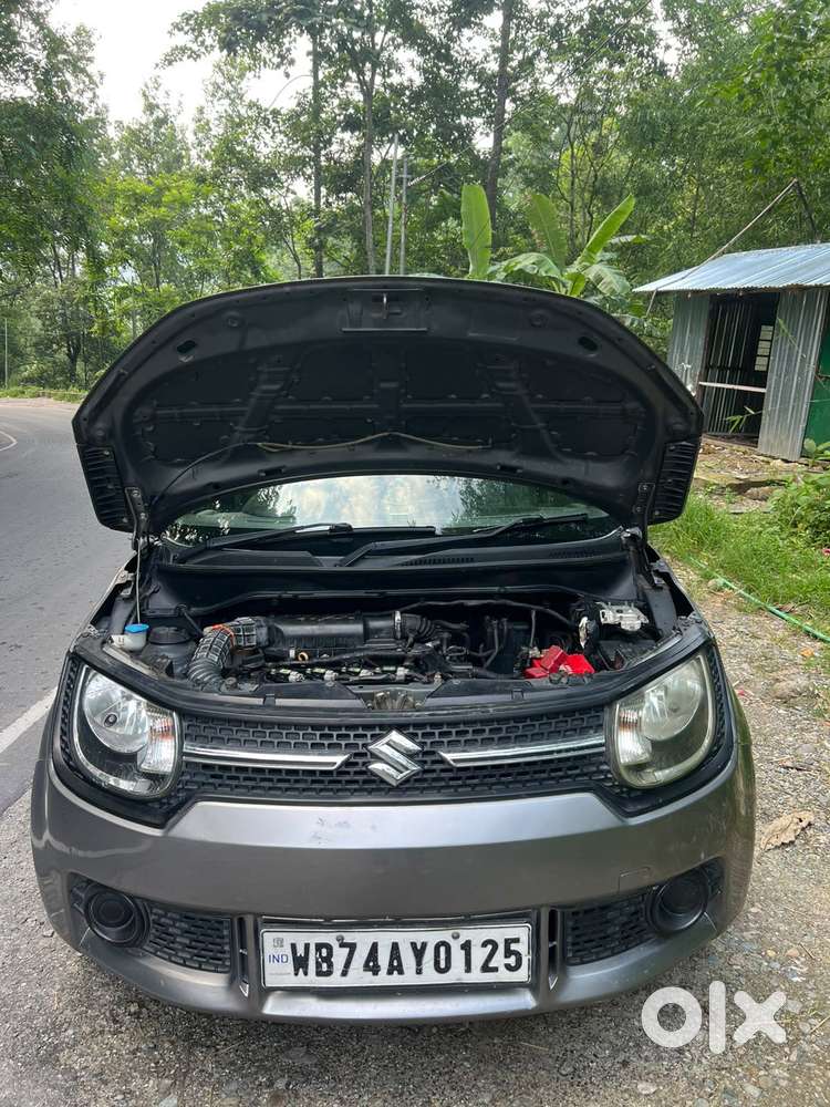 Maruti Suzuki Ignis 1.2 Alpha Mt, 2019, Petrol