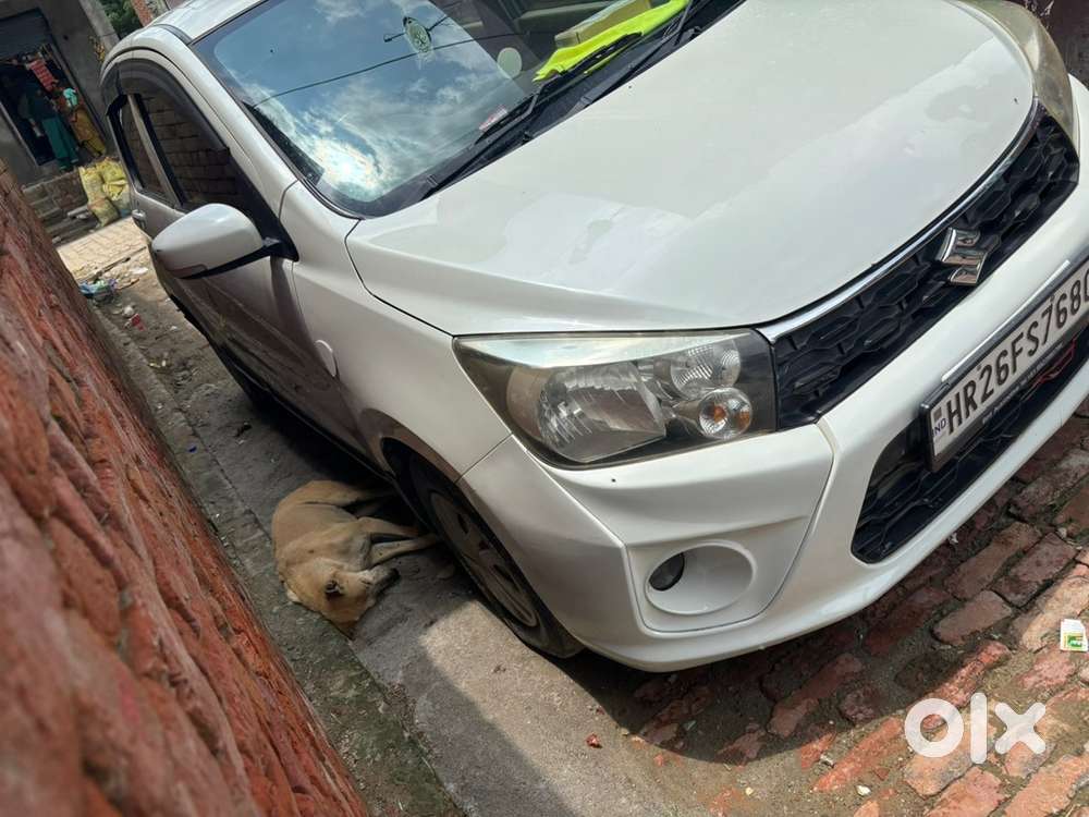 2020 Maruti Suzuki Celerio Cng