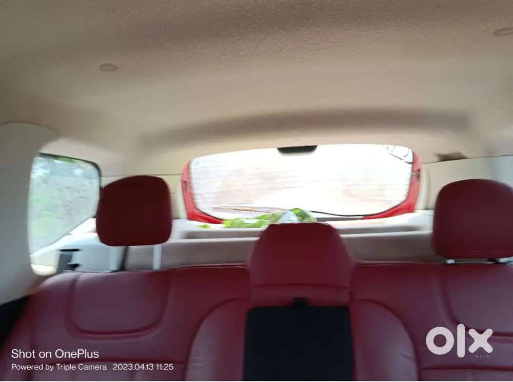 Good Condition And Vell Maina