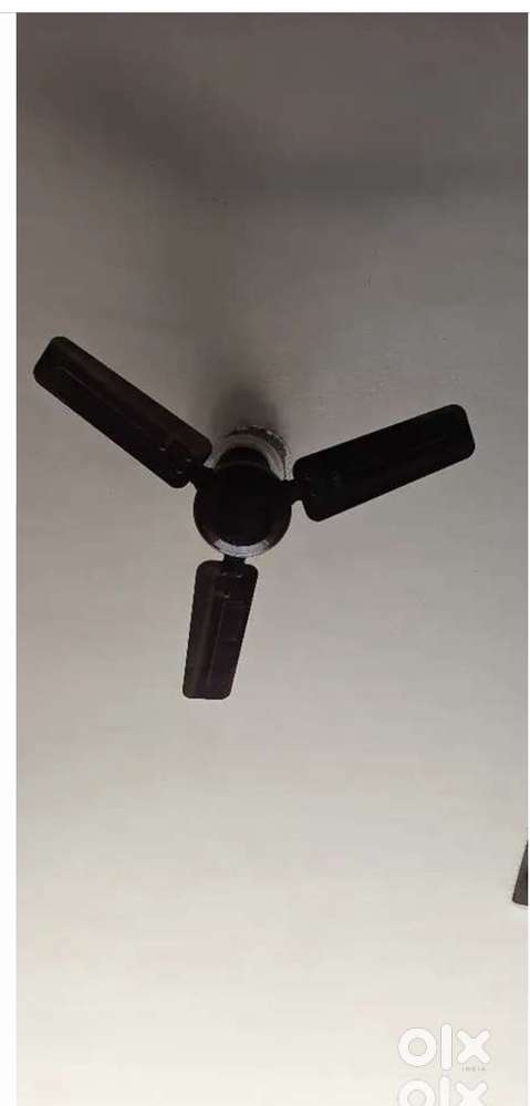 Ceiling fan