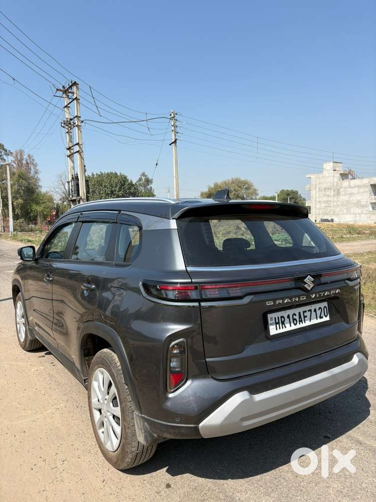 Maruti Suzuki Grand Vitara 2025 Petrol 7000 Km Driven