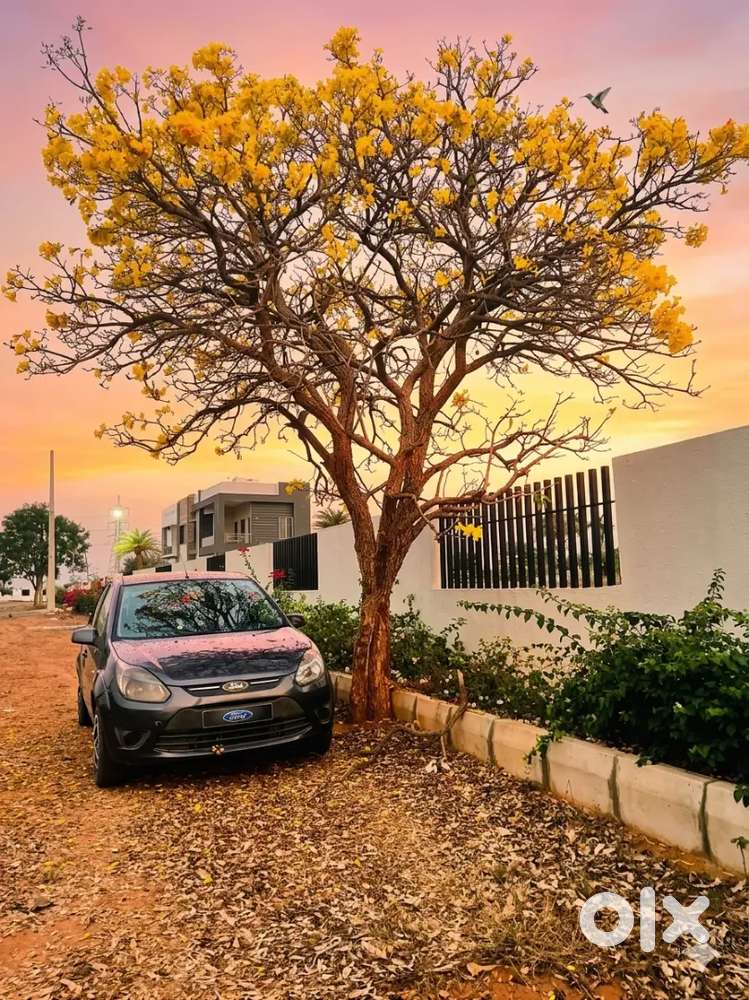 Ford Figo 2011 Petrol