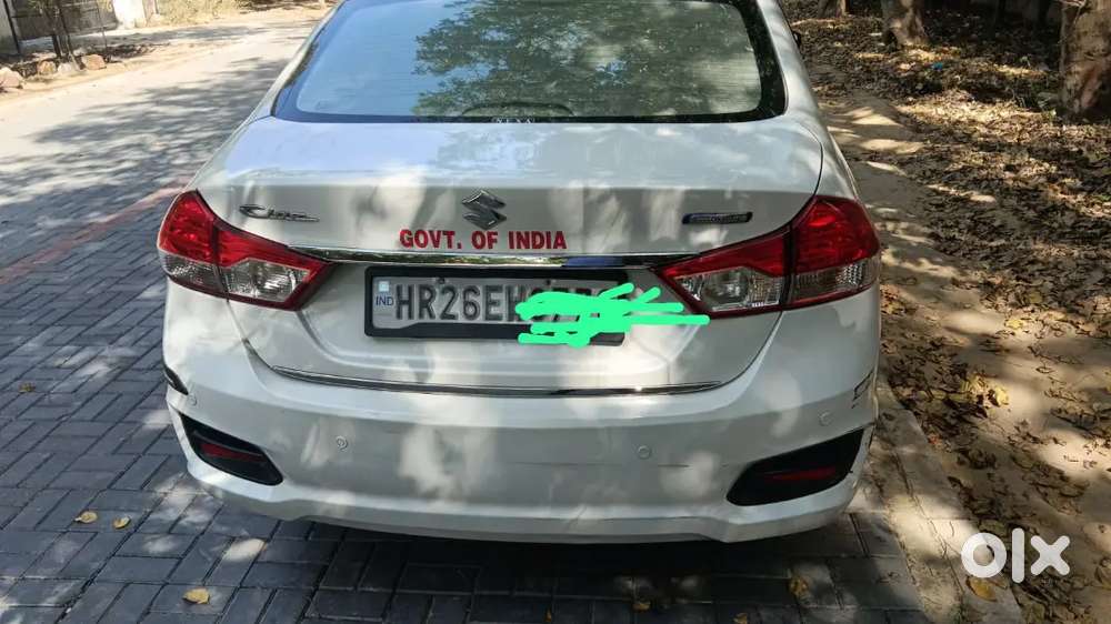 Maruti Suzuki Ciaz 202