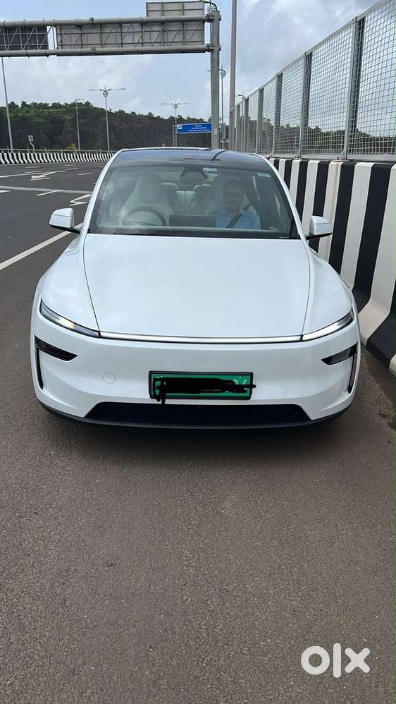 Tesla Model Y 2029 Electric