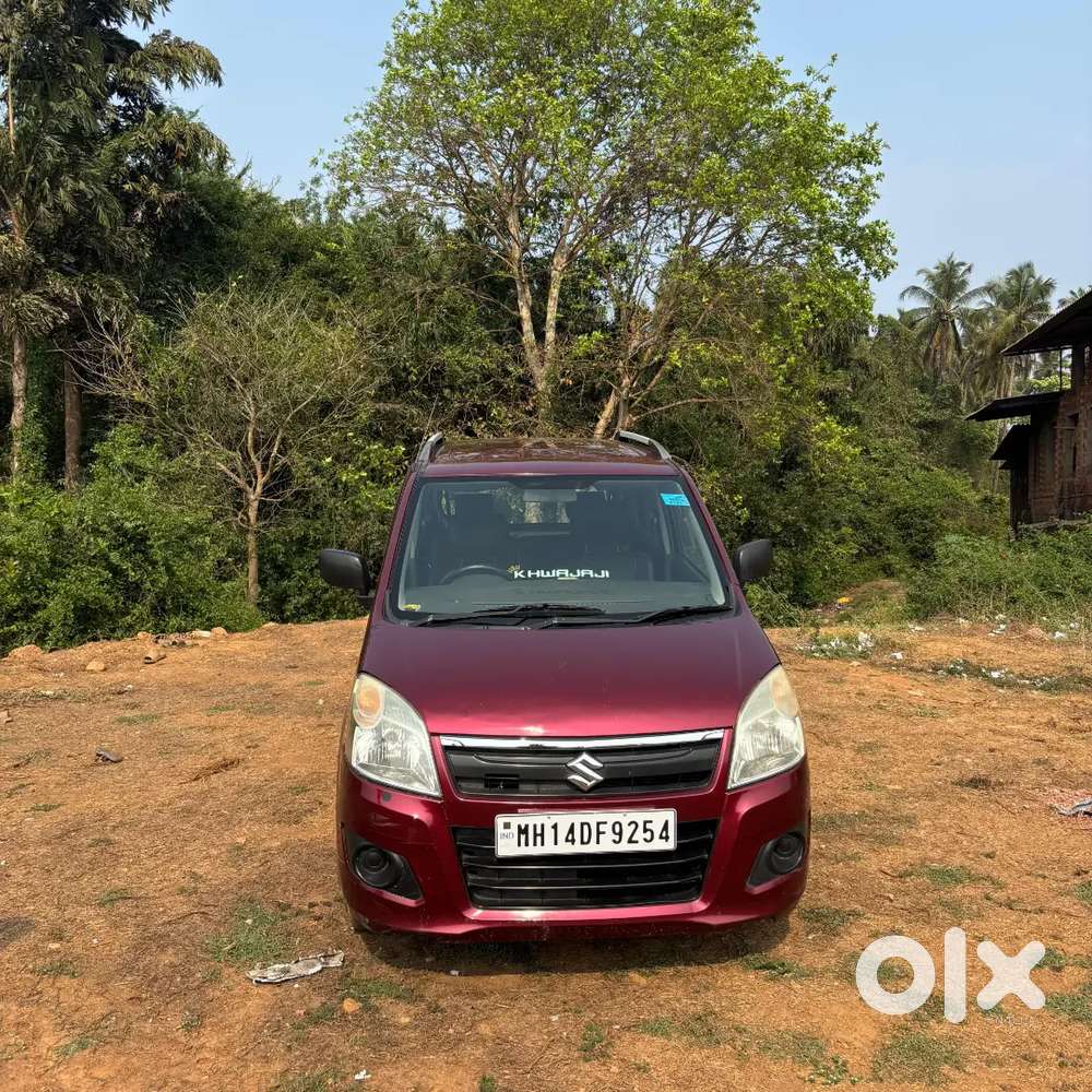 Wagon Cng And Petrol