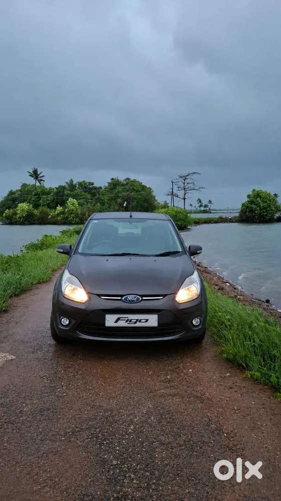 Ford Figo 2010 Petrol Well Maintained