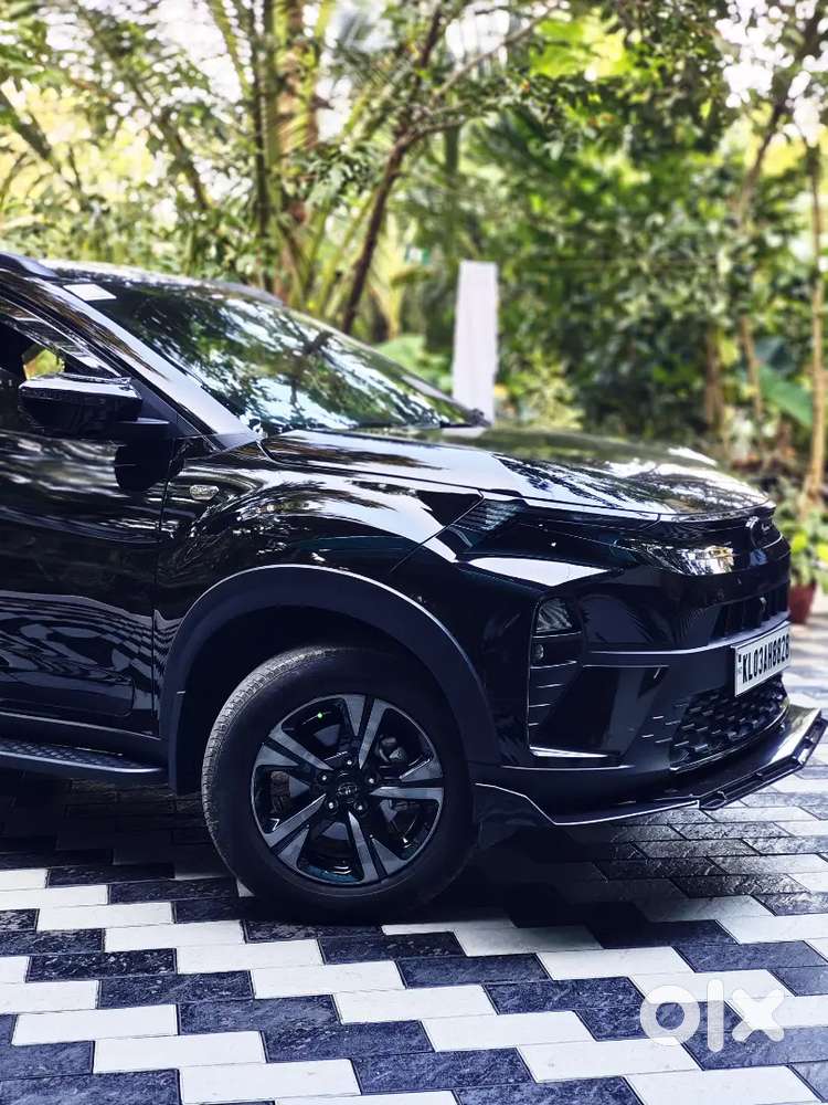 Tata Nexon 2025 Petrol Well Maintained