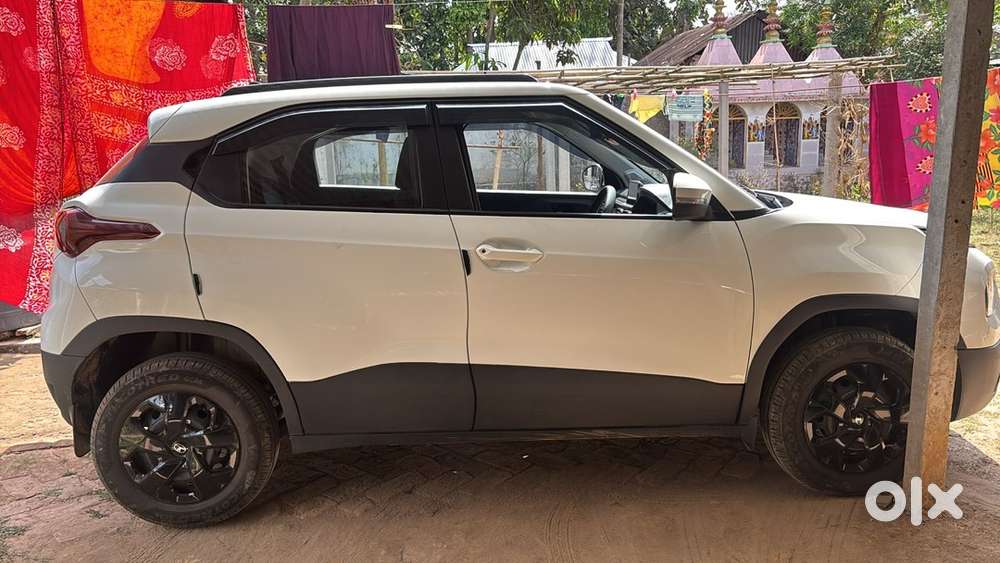 5 Months Old Cng Punch