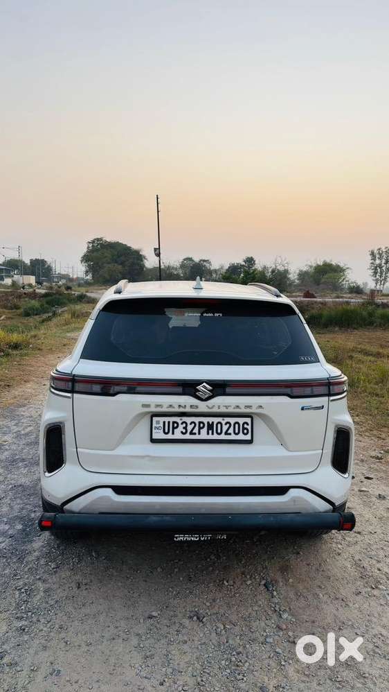 Maruti Suzuki Petrol 2024