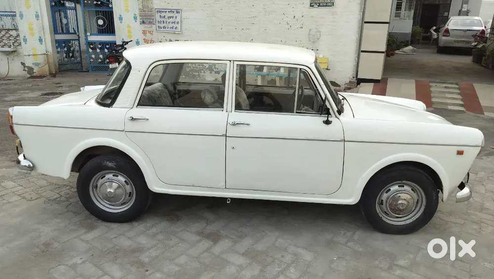 Fiet Primer Padmini White Colour (old Is Gold)