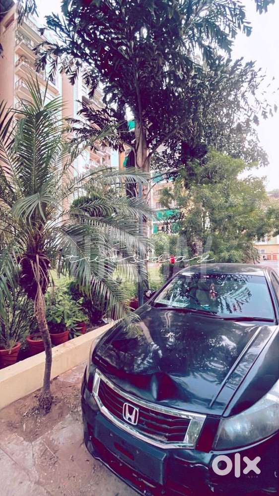 Honda Accord 2010 Petrol Well Maintained