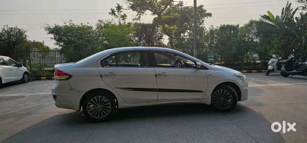 Maruti Suzuki Ciaz Alpha [ Top Model ] Available For Sale