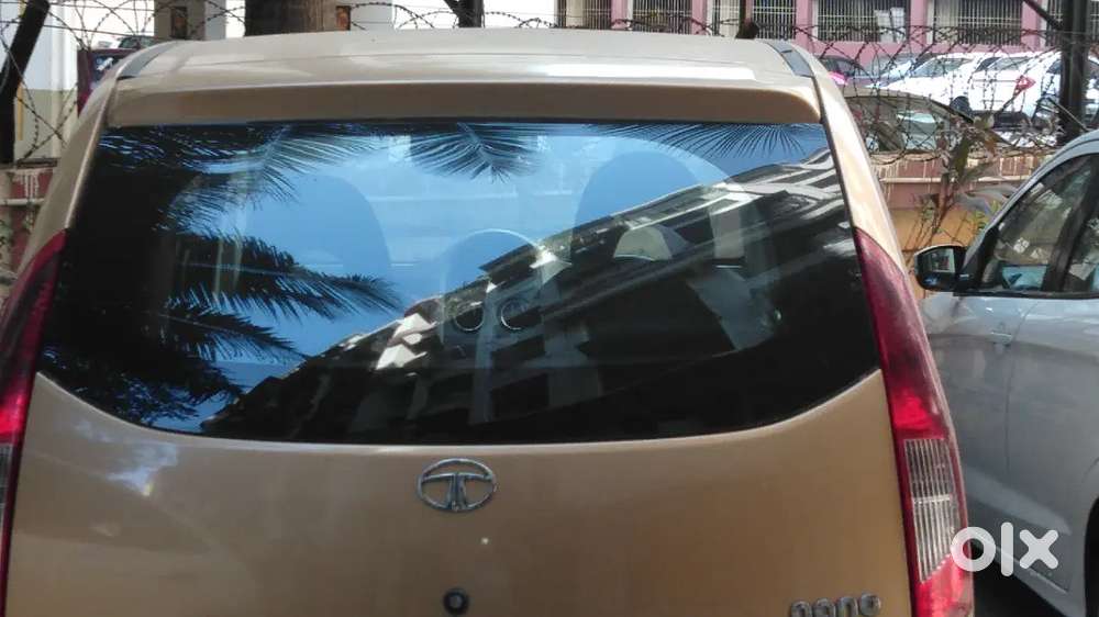 Golden Yellow Colour