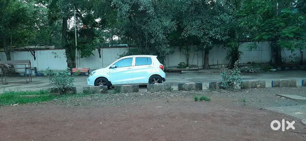 Maruti Suzuki Celerio 2019 Cng & Petrol 50000 Km Driven