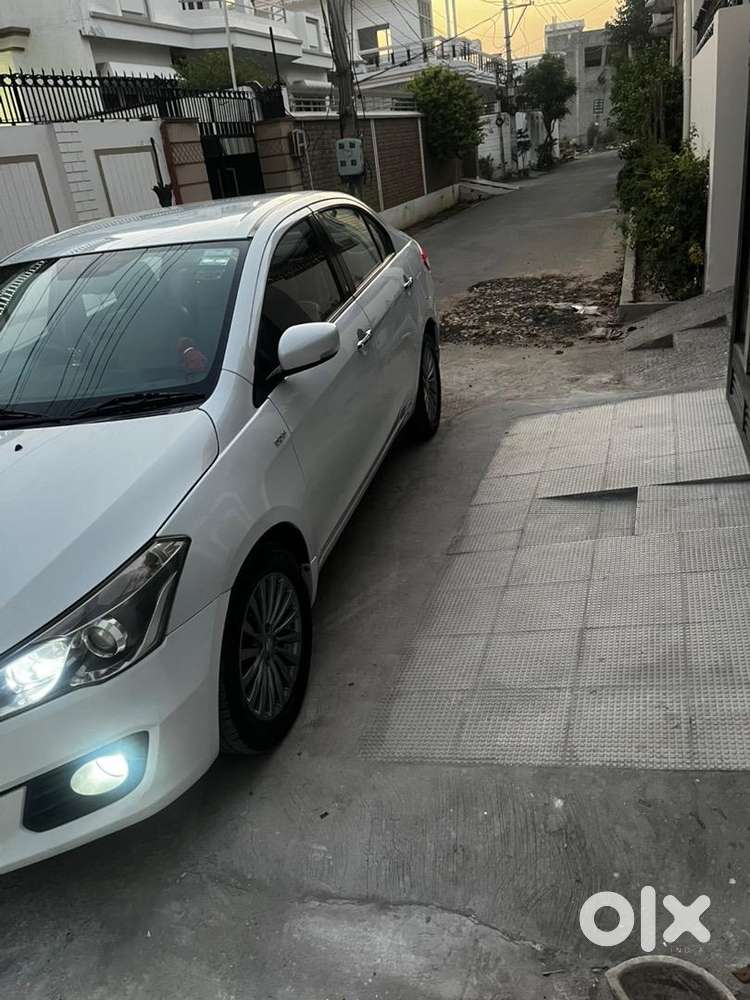 Maruti Suzuki Ciaz White Top Alpha In Brand New Conditio