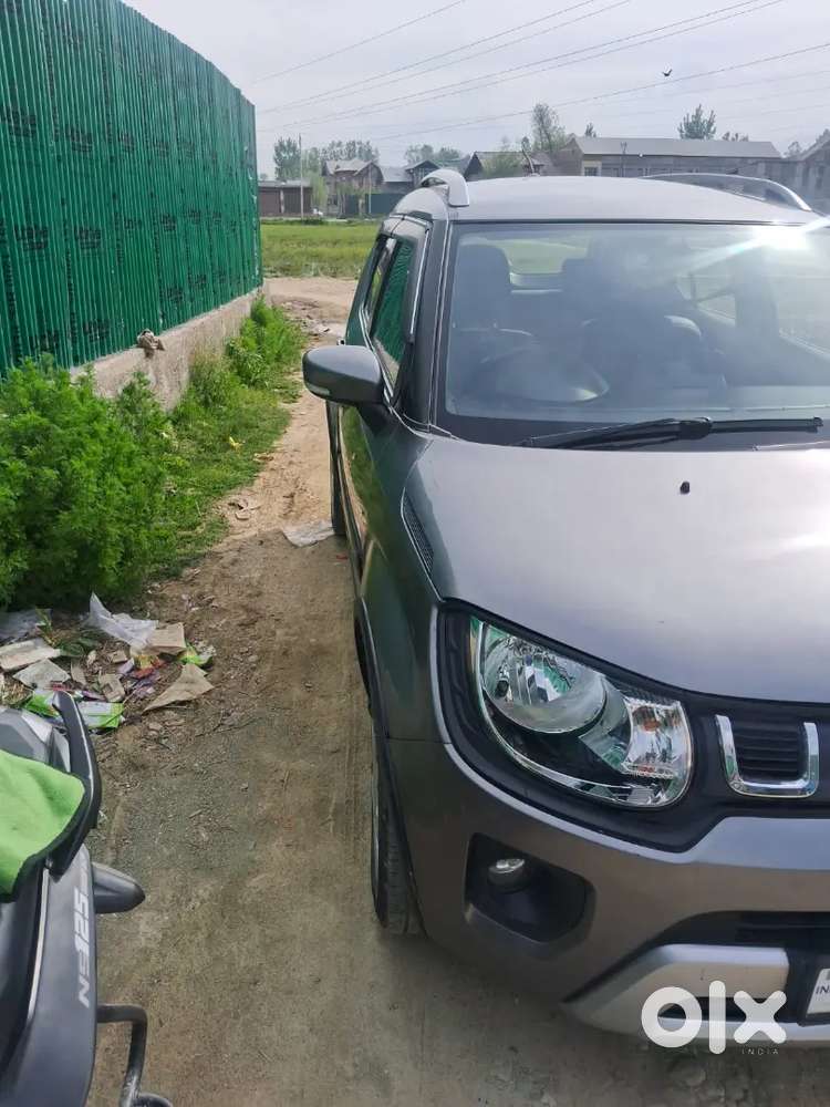 Ignus No Expenditure