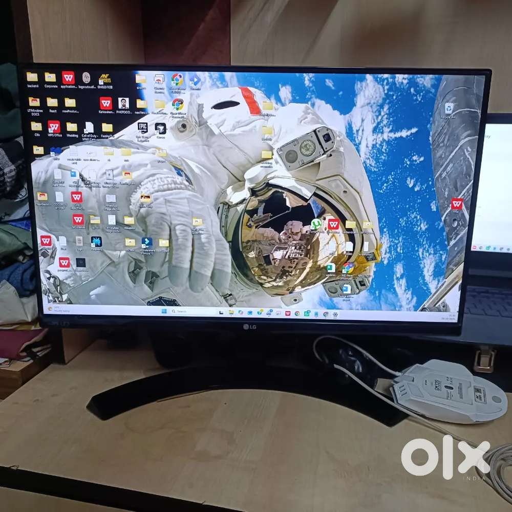 LG Monitor