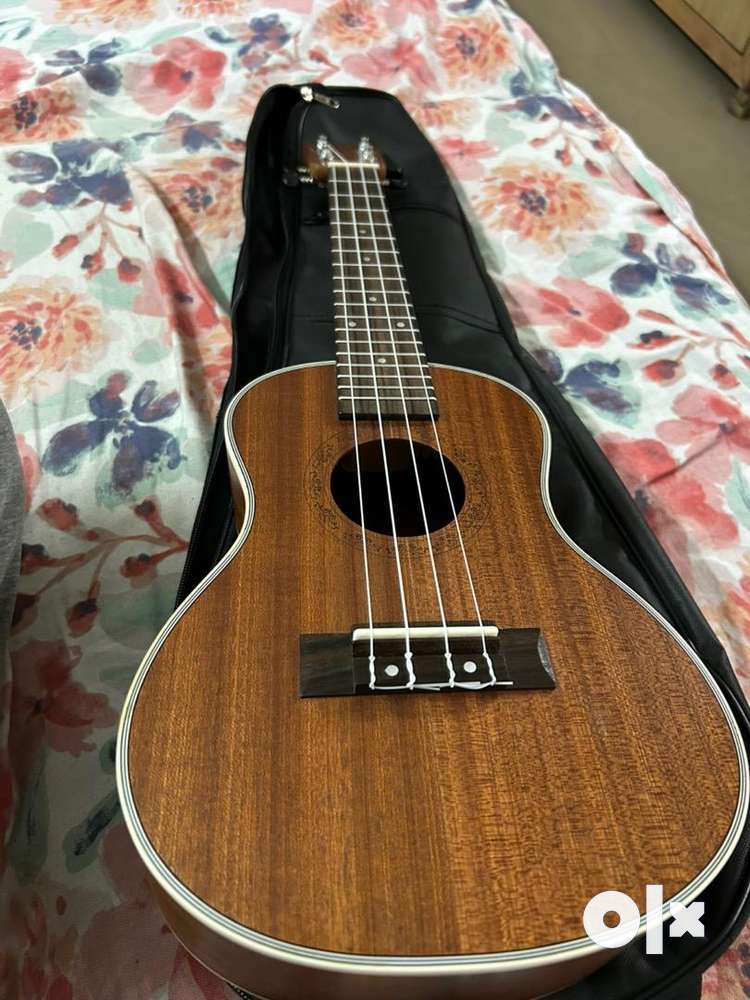 Olx ukulele concert top
