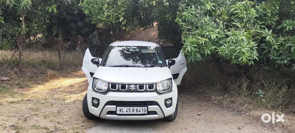 Maruti Suzuki Ignis 2018 Petrol Well Maintained
