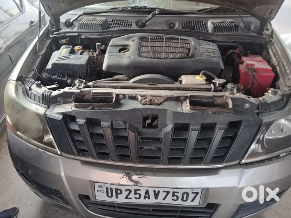 2013 Model Koi Kami Nhi H