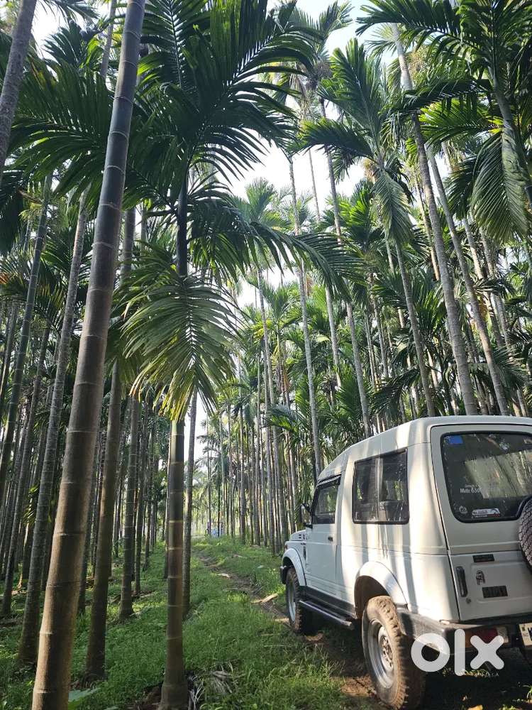 Maruti Suzuki Gypsy 2005