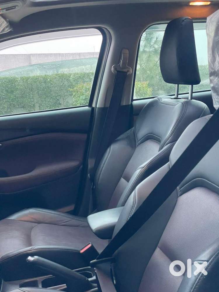 2023 Maruti Suzuki Hybrid