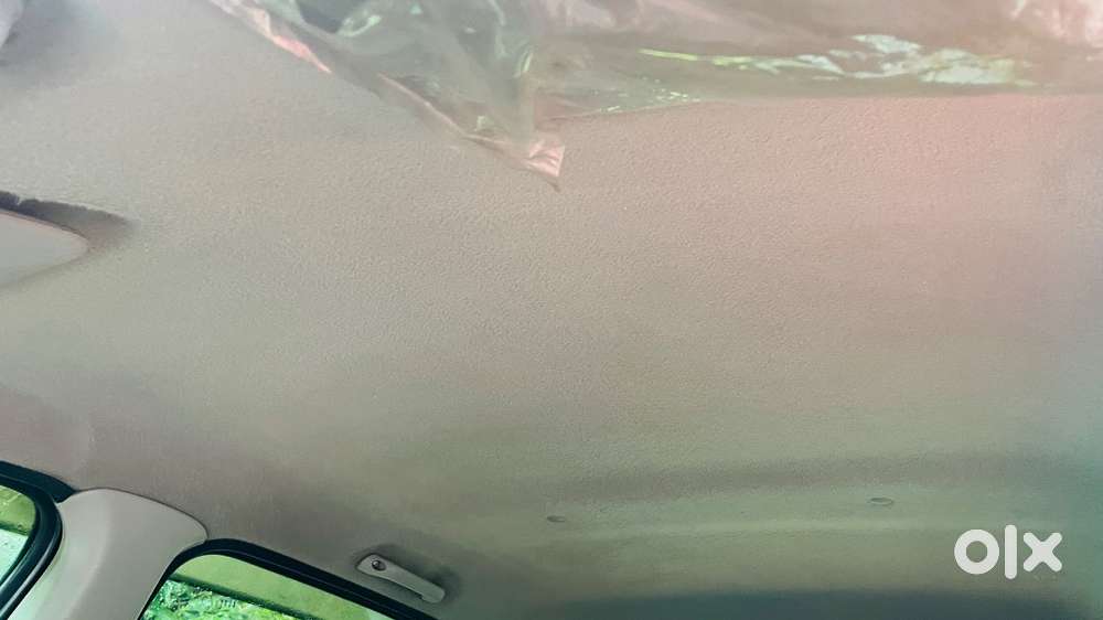 Alto 800 One Person