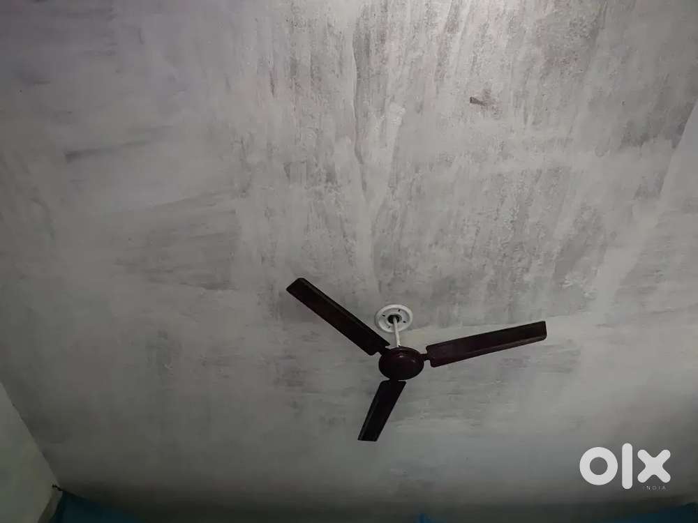 मुझे 2 रूम साथ मैं किचन और अलग अलग toilet चाहिए.. सैम बिल्डिंग मैं