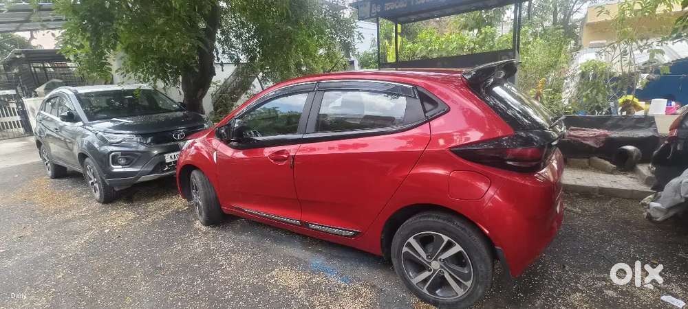 Showroom Maintenance And Good Condition