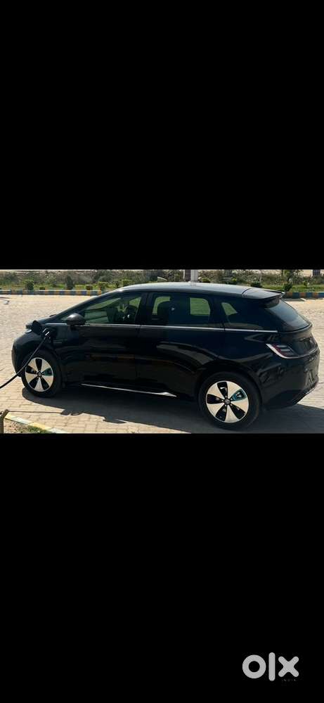 Mg Windsor Ev 2025