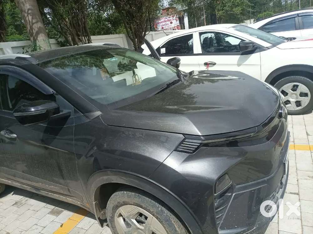 Tata Nexon 2025 Variant Petrol + Cng Pure S