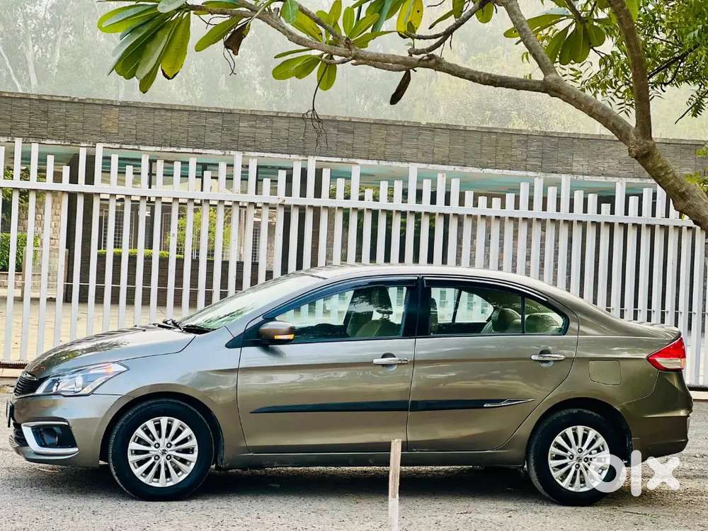 Maruti Suzuki Ciaz 2019 Delta Hybrid