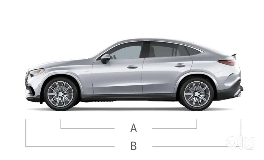 Only Book With Fancy Number