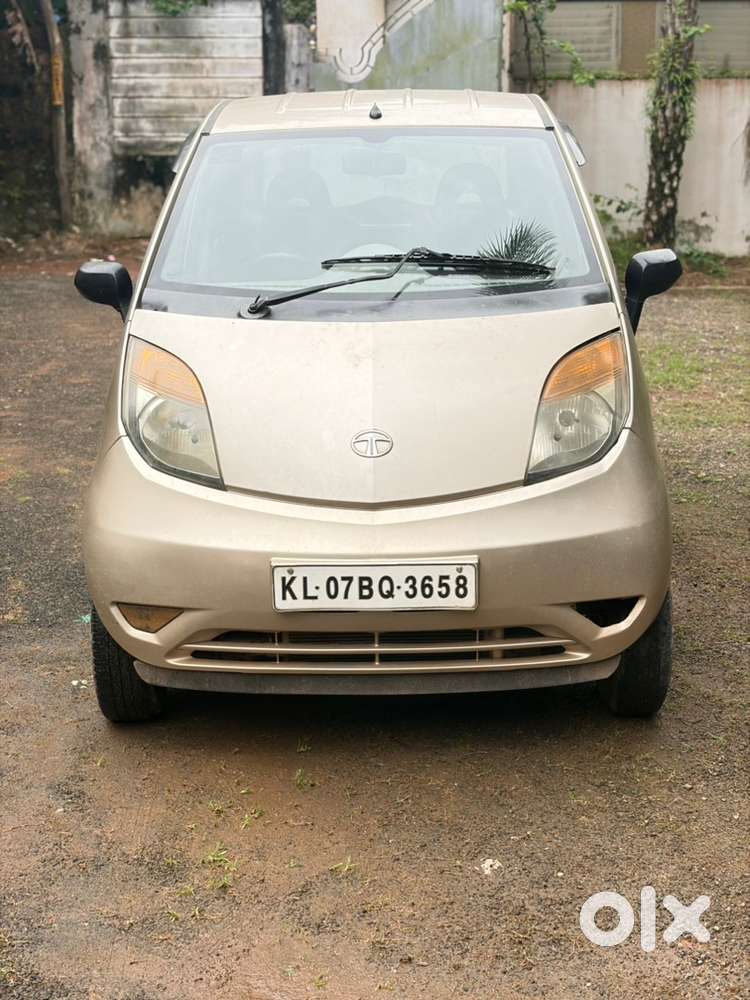 Tata Nano Petrol 2010 Year