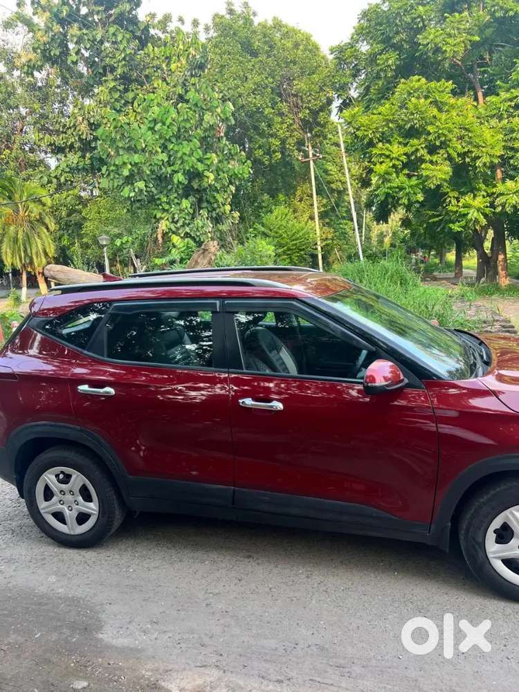 Kia Seltos 2019 Petrol Well Maintained