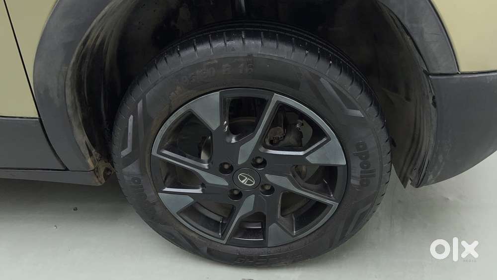 Tata Punch 1.2 Revotron Creative Mt Kaziranga Edition, 2022, Cng & H..