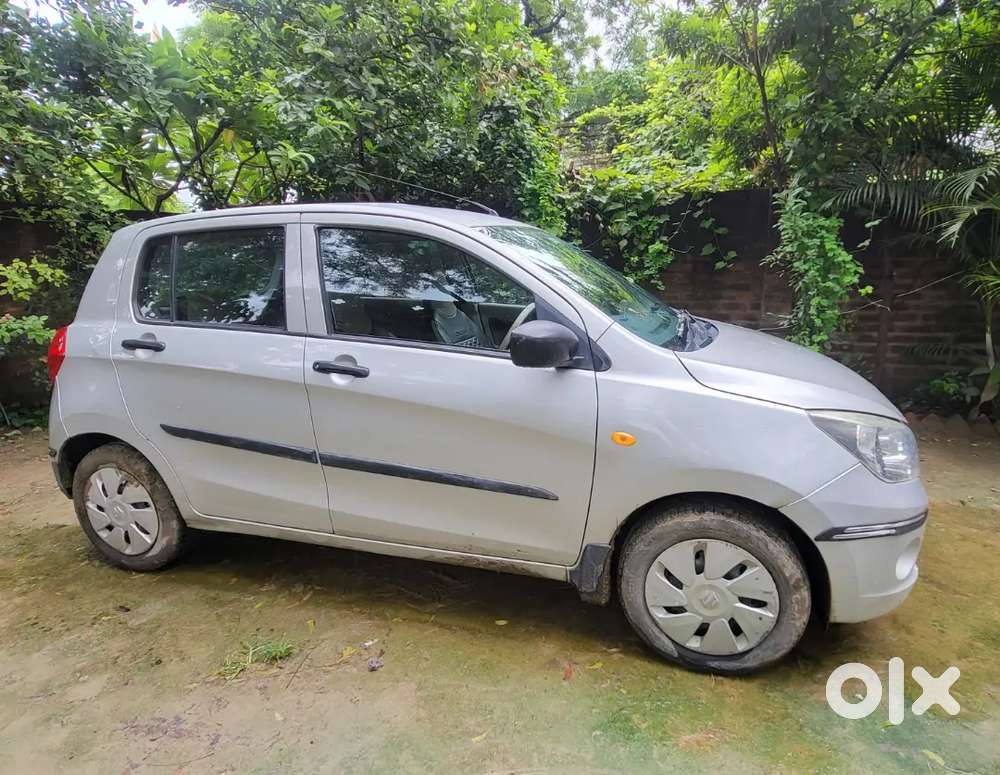 Selero New Condition