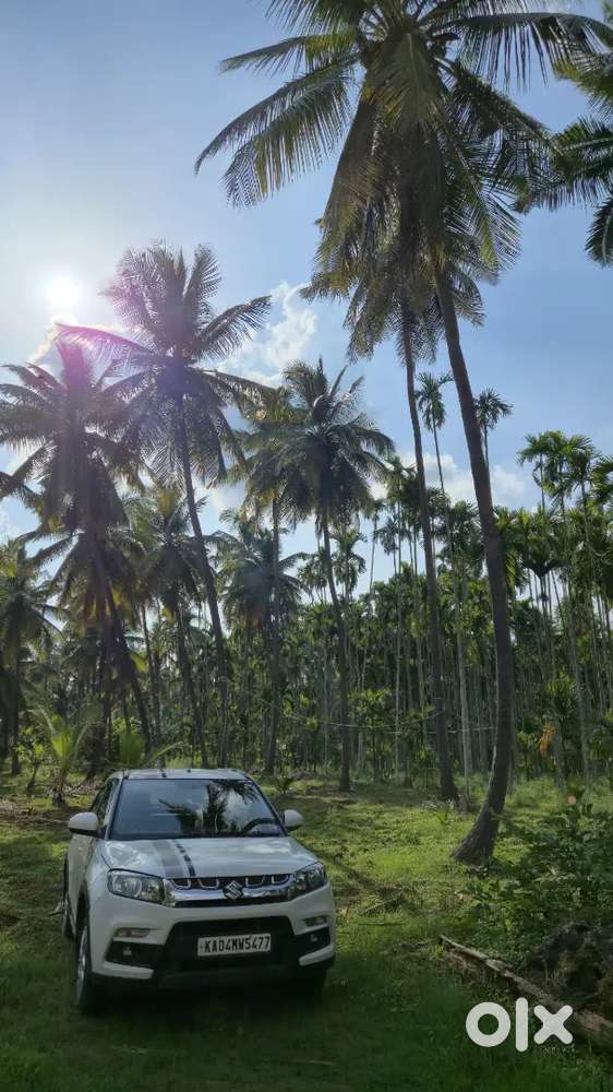 Maruti Suzuki Brezza 2019 Vdi