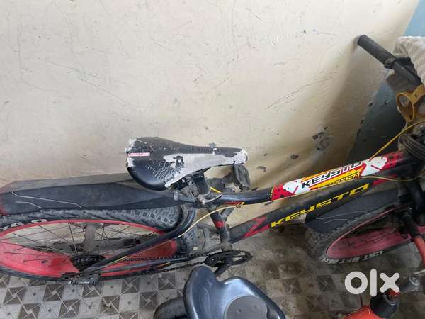Bicycle big tayar