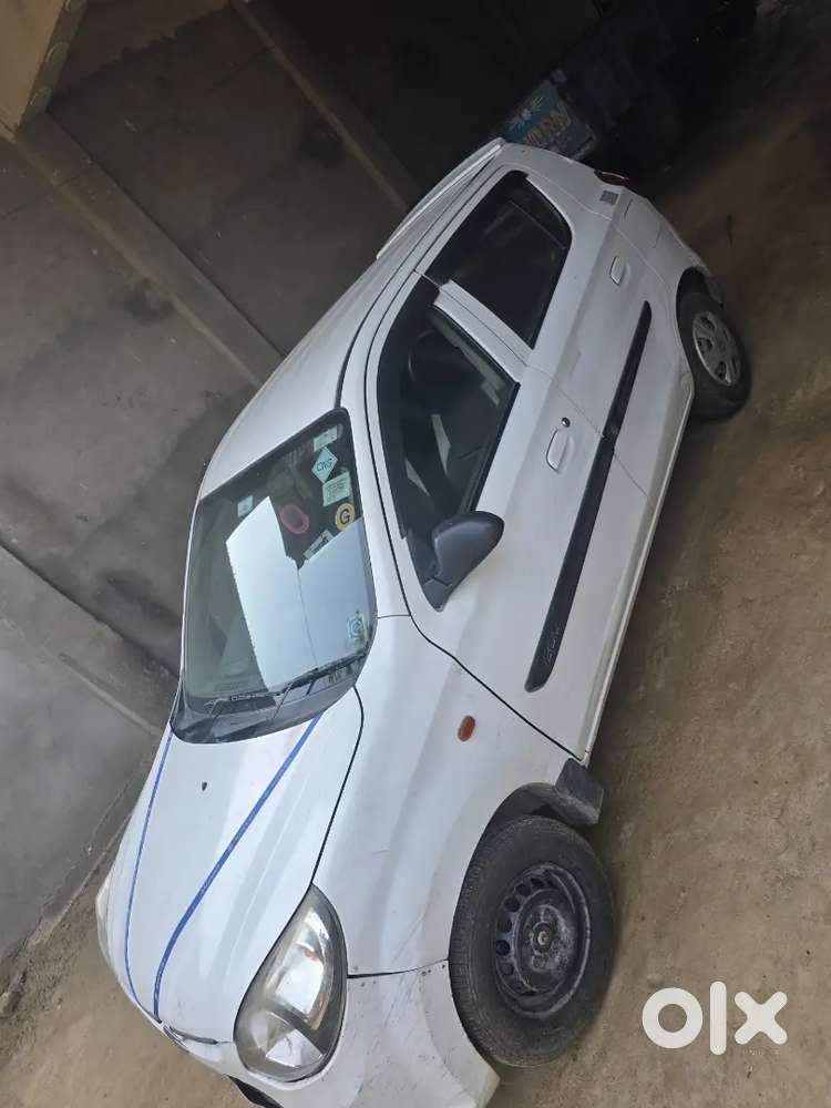 Alto 800 White Cng