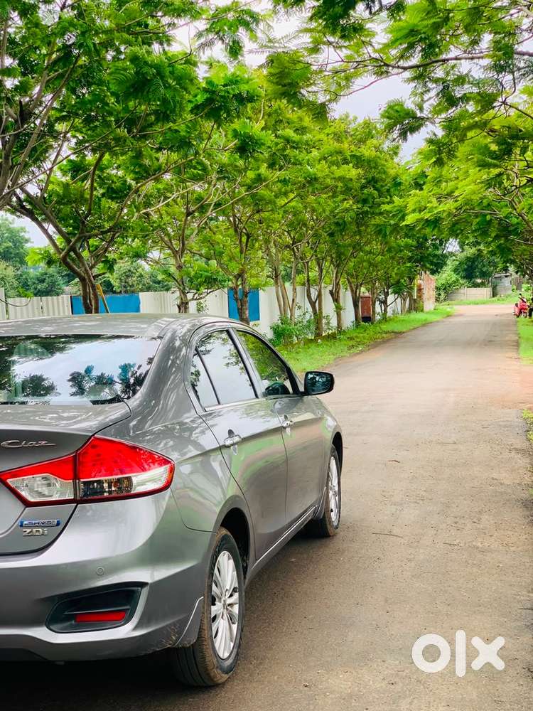 Maruti Suzuki Ciaz 2016 Diesel 42000 Km Driven