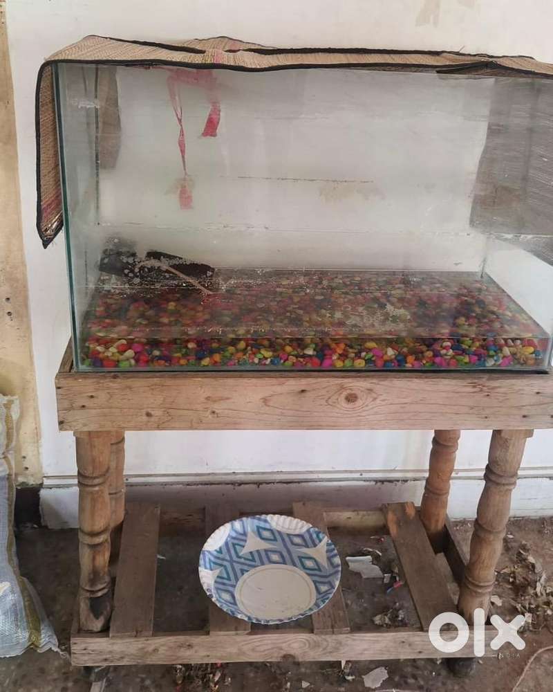 Fish Tank With Table & Bubble Stone Pet Food & Accessories 1786627554