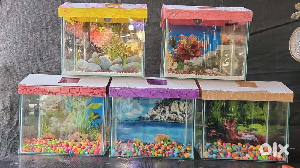 Aquarium for wholesaleg Pet Food Accessories 1805234997