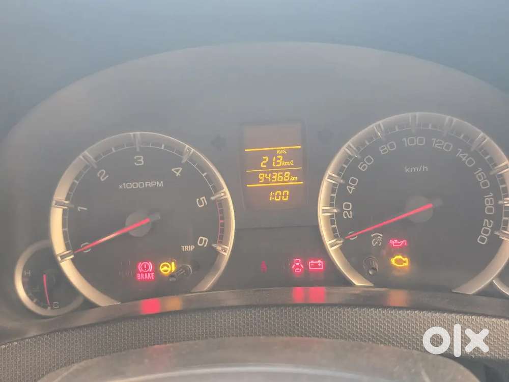 Urgent Sale Koi Kami Nhi H