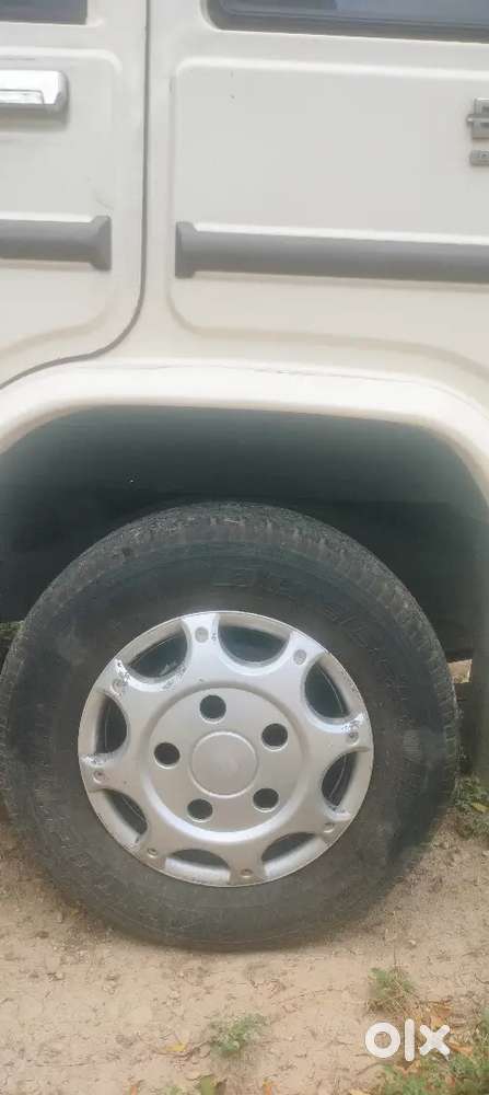 Mint Condition Bolero For Sale