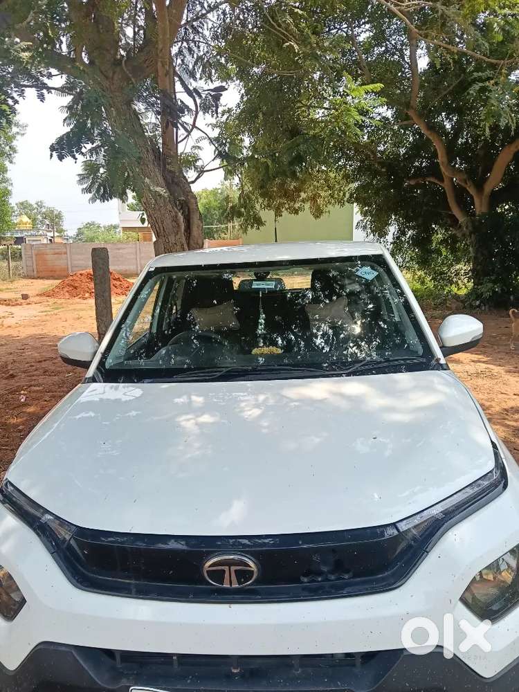 Tata Punch Icng 2024