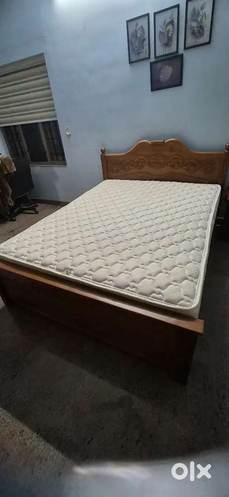 PEPS SPINE GUARD 8 INCH QUEEN SIZE SPRING MATTRESS