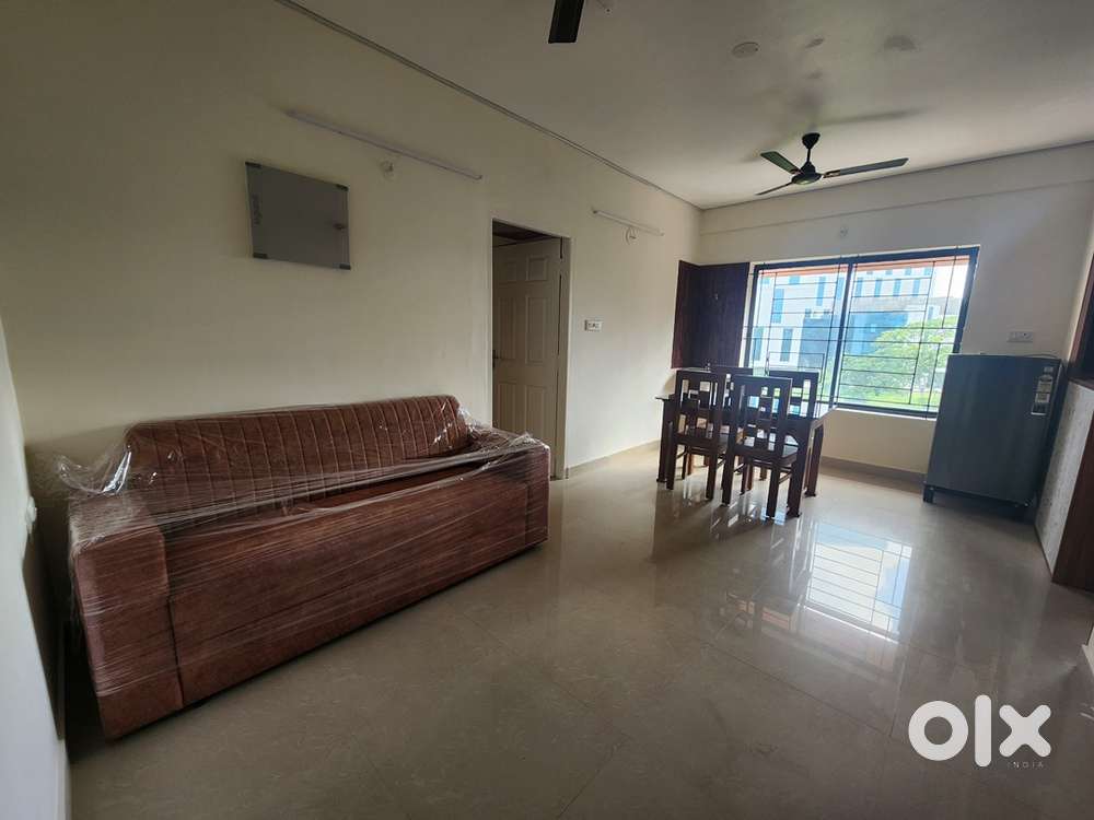 1BHK in Infopark