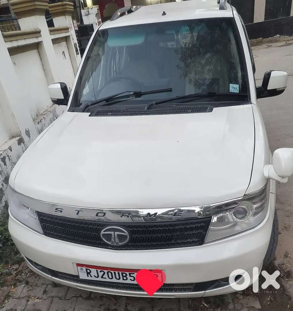 Safari Strome Showroom Condition