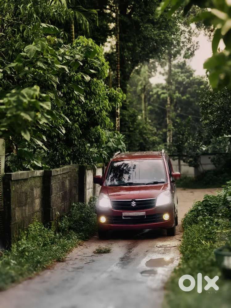 Maruti Suzuki Wagon R 2013